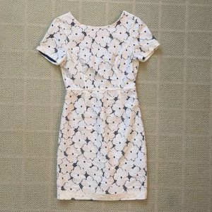 Tibi White Lace Shell on Blue Lining Size 0